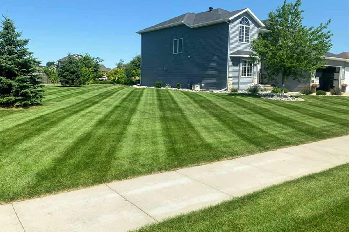 Fertilizing lawns for lush green grass