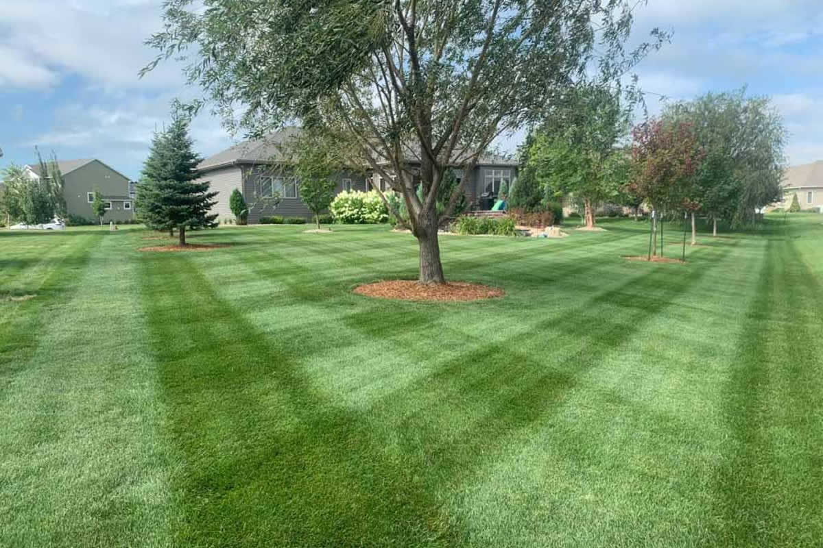 Fargo lawn care professionals