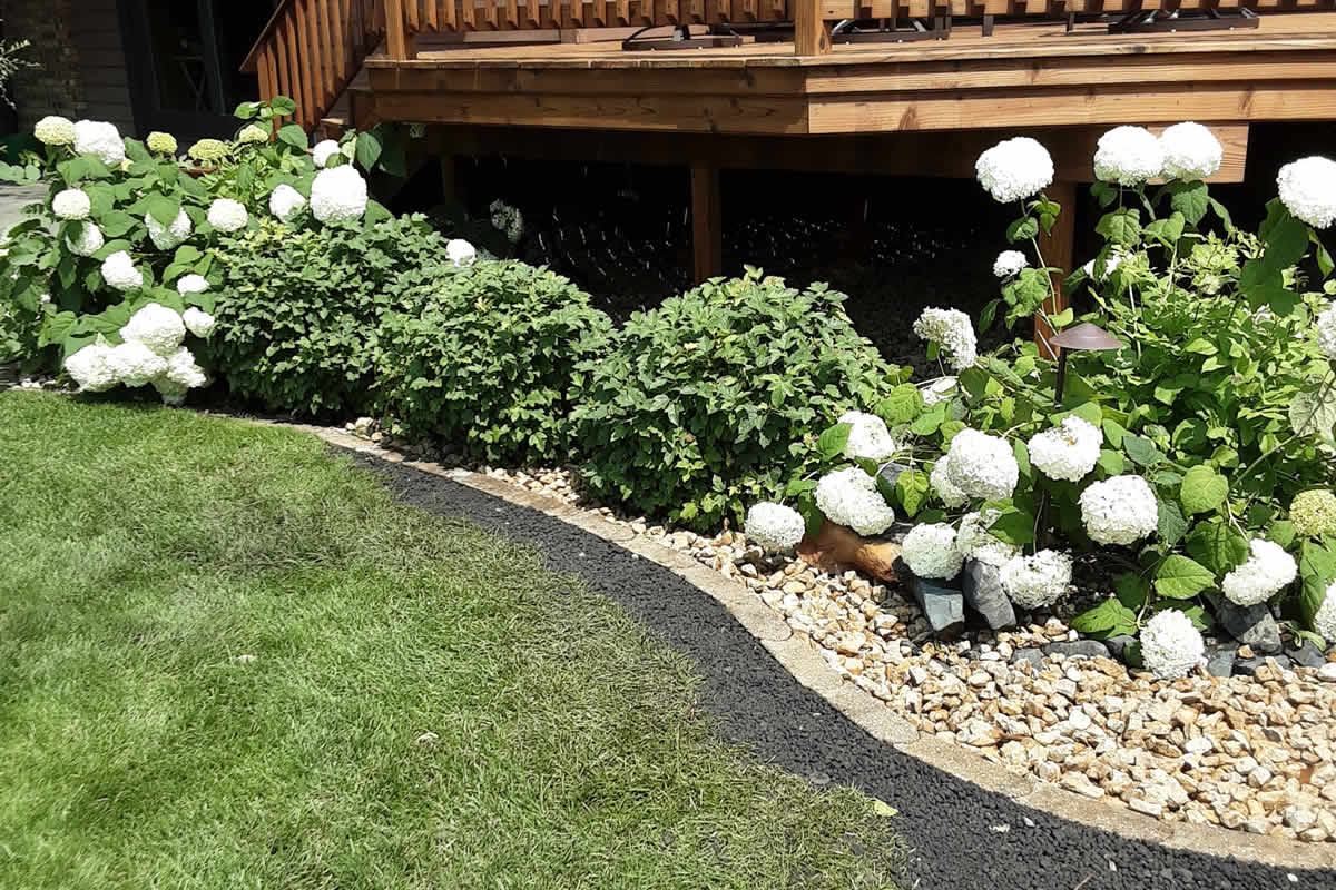 Beautifully landscaped garden