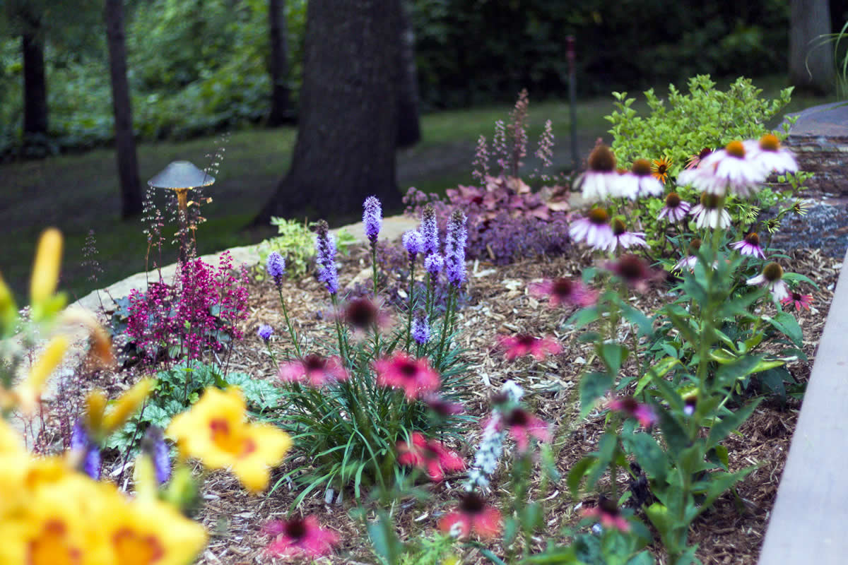 Garden bed landscaping with colorful plants